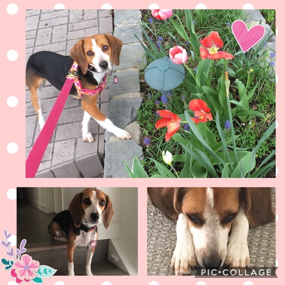 Meet the Posher - Picture 4 of 6